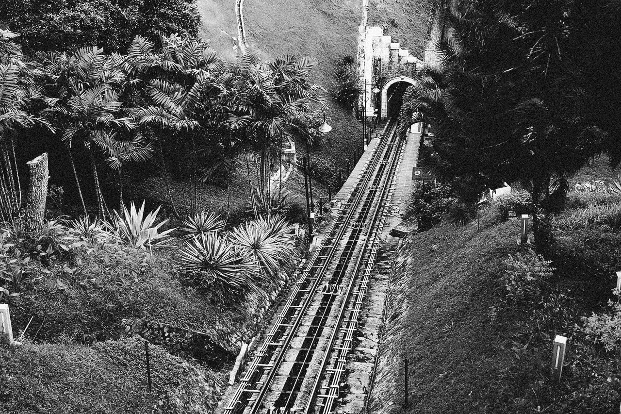 gallery-1 A high angle view of railway tracks leading into a lush tunnel, captured in black and white.