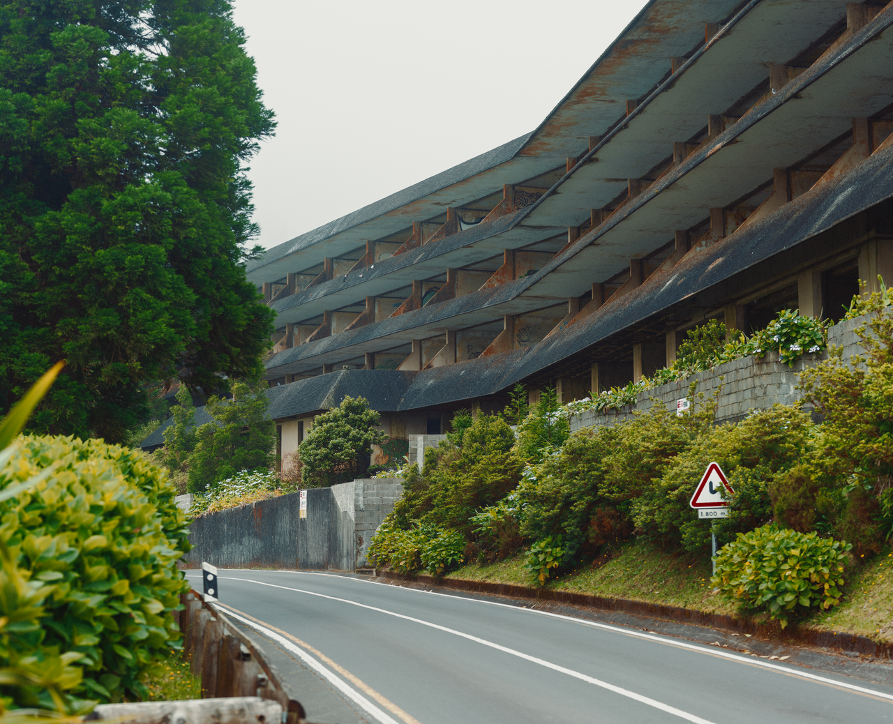 Explore brutalist architecture amidst lush greenery along a quiet scenic road.